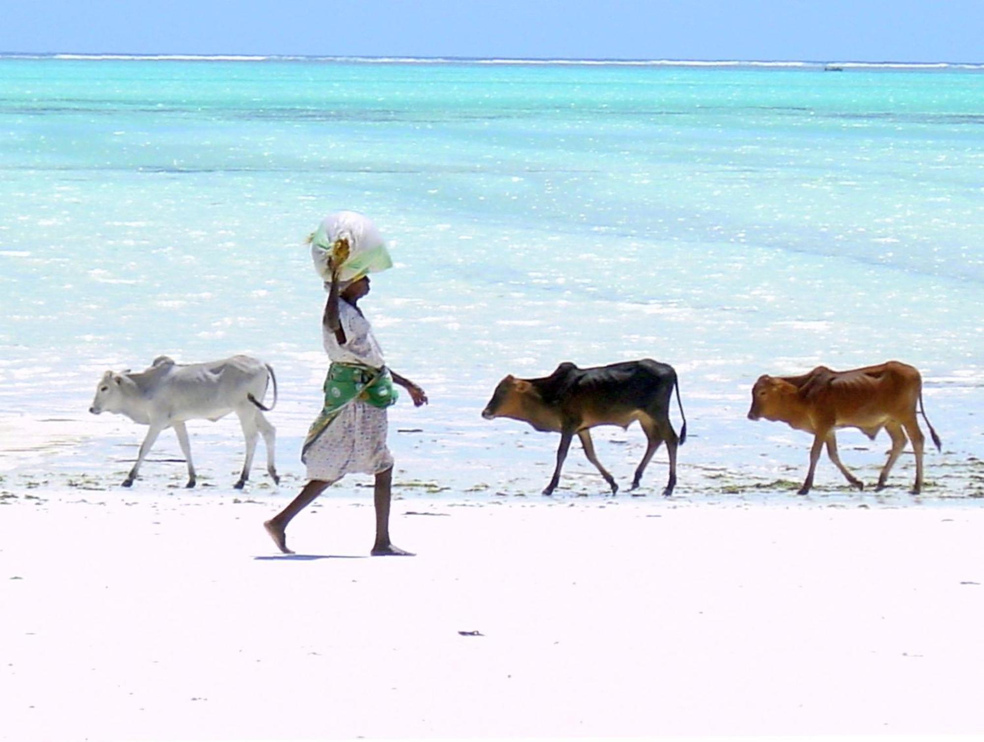 Villa Bahati Zanzibar Jambiani  Eksteriør billede